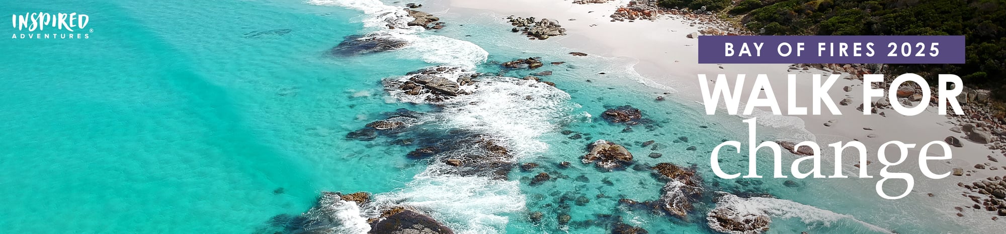 Hero image 3000x700-2