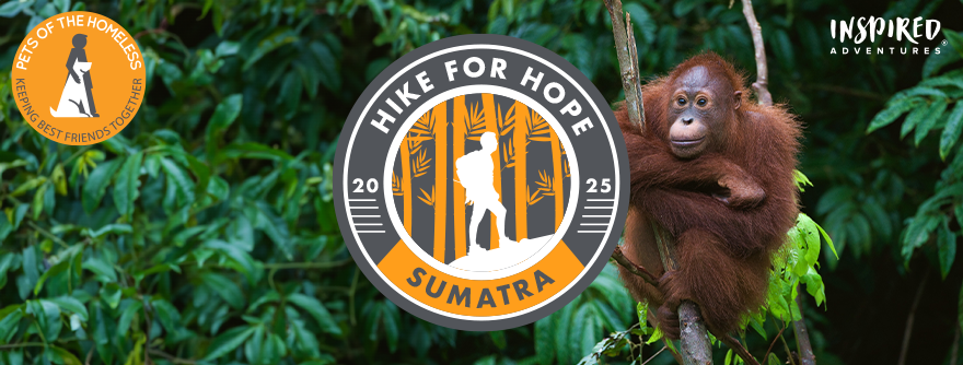 pfh-sumatra-2025-hubspot